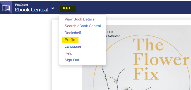 Three dots, top right of ebook interface, drop down menu: Profile