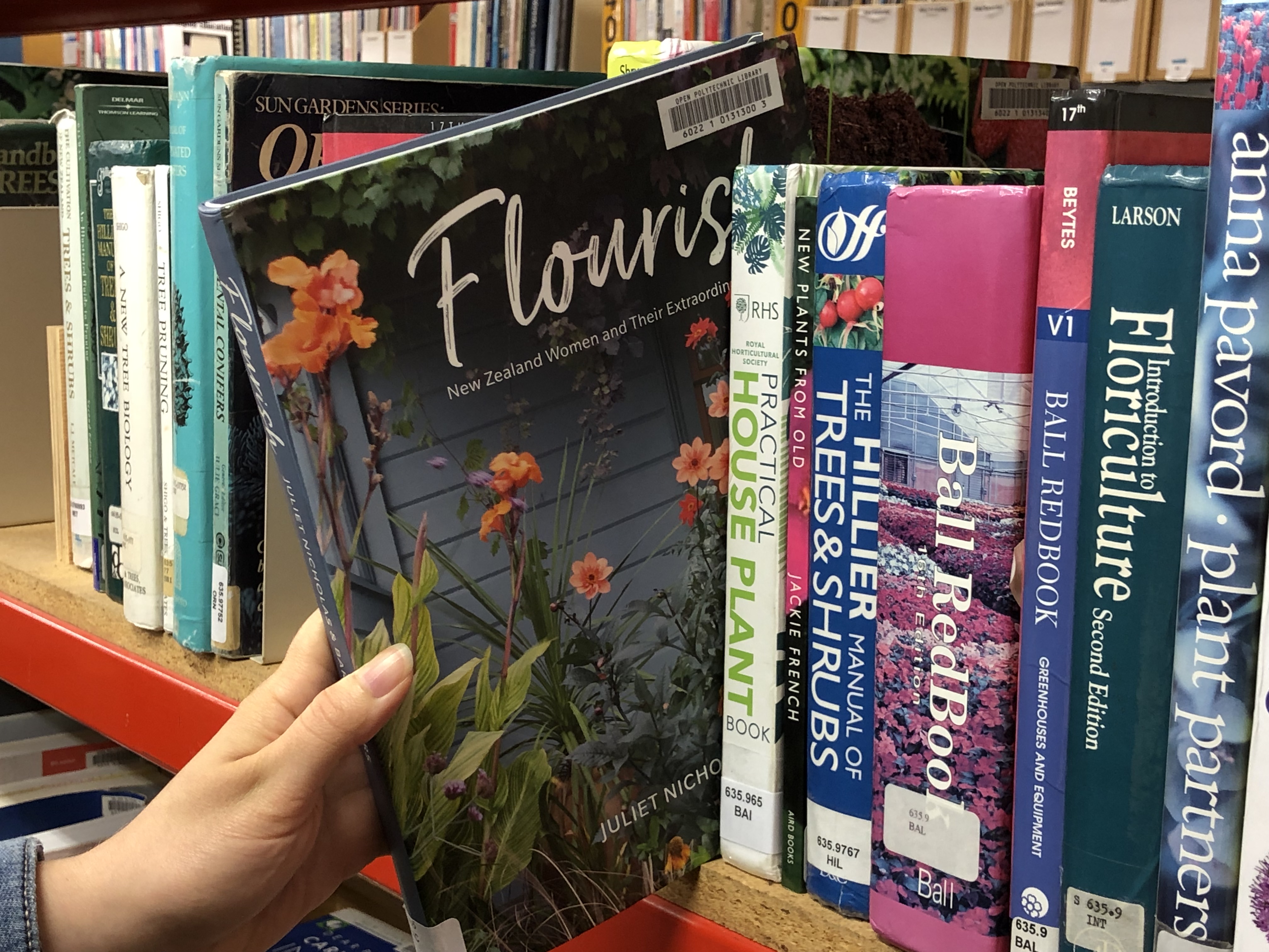 Selecting Flourish book from stacks