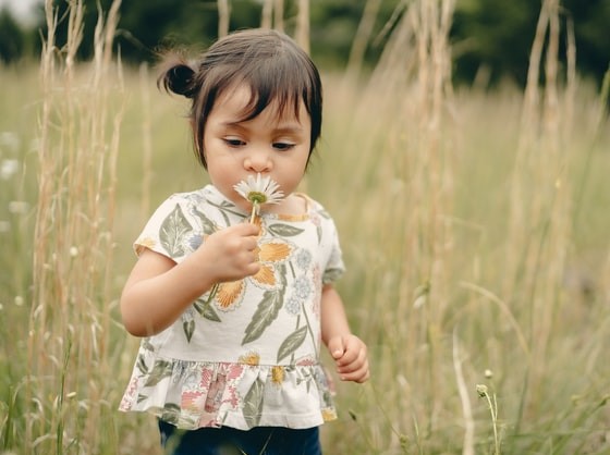 child sniffing daisy
