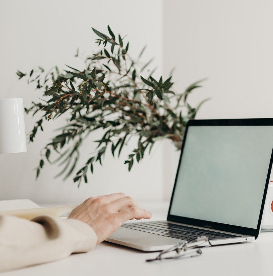 hand on laptop_plant in background